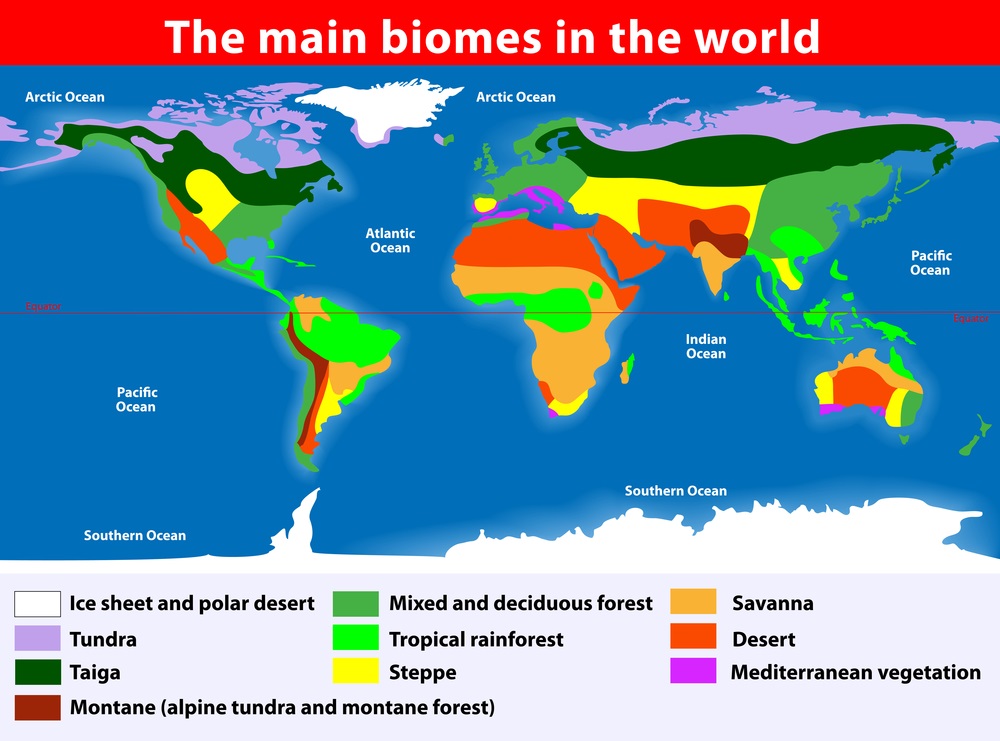 worksheet letâ€™s time say no blocking  the  were  blocking all clouds continentsâ€”and there