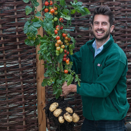 Tomato and Potato Unite on Grafted Hybrid Plants Kids